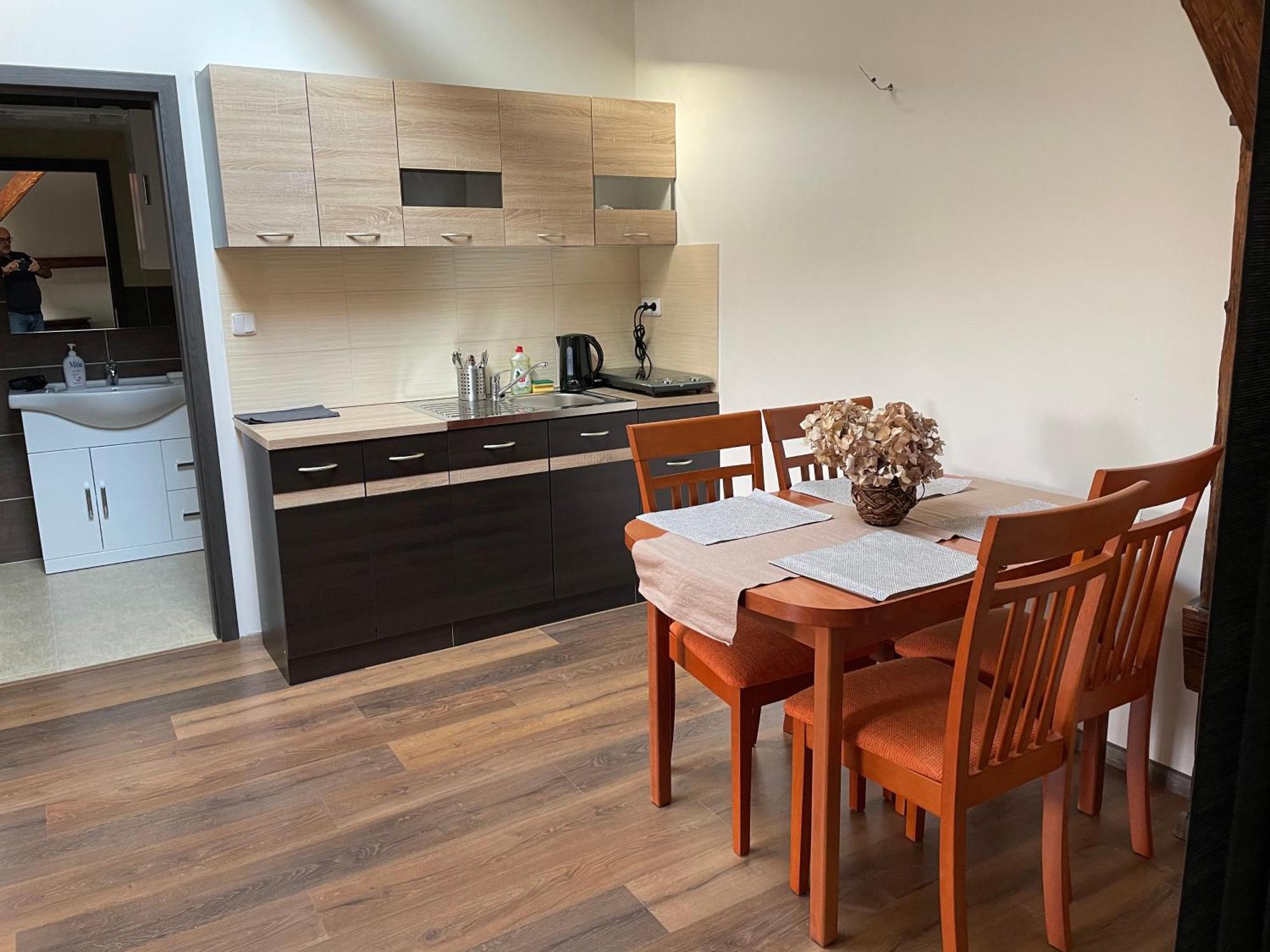 Ferienwohnung Studia Maxim Frýdek-Místek Exterior foto